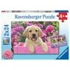 Ravensburger Puzzle 2x24 Piece Me & My Pal -Ravensburger shop 5327871671f39d79b56bf44e3254dabc thumb