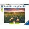 Ravensburger Puzzle 500 Piece Dandelions At Sunset -Ravensburger shop b9b356f9d35b805edc8f87438d45b22b thumb