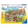 Ravensburger Puzzle 3x49 Piece A Day With Horses -Ravensburger shop fa55208b54c7a3f026e7322ec6f4ad20 thumb